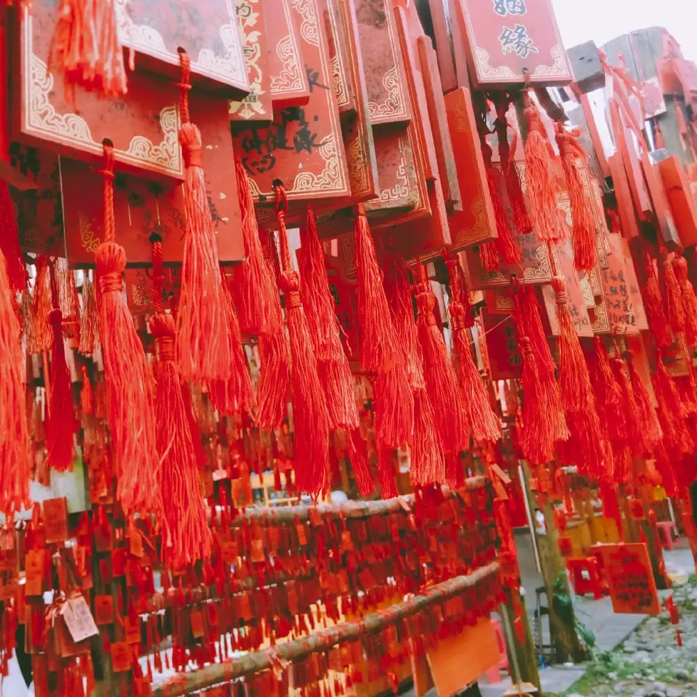 Začínáme Podnikat