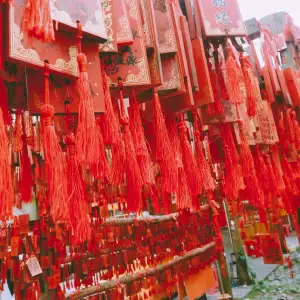 Začínáme Podnikat